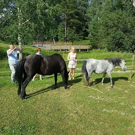 Soomaa Water Camp Tatil parkı
