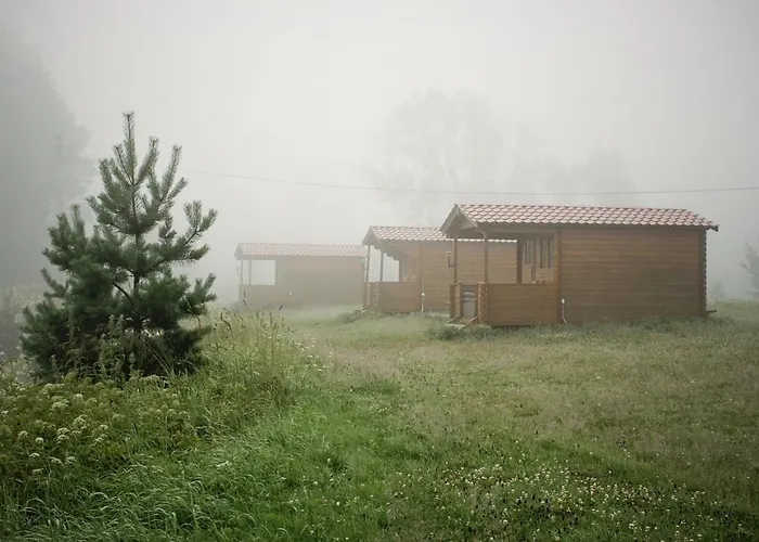 Soomaa Water Camp * Jõesuu