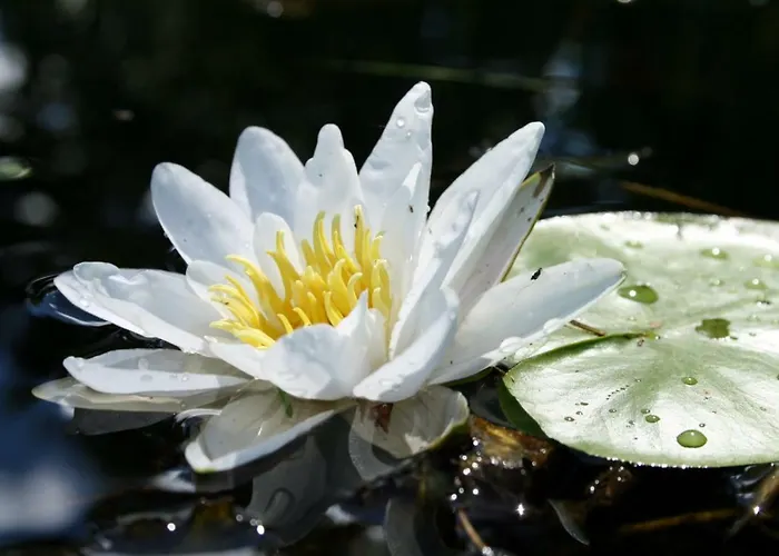 Kompleks wypoczynkowy Soomaa Water Camp *
