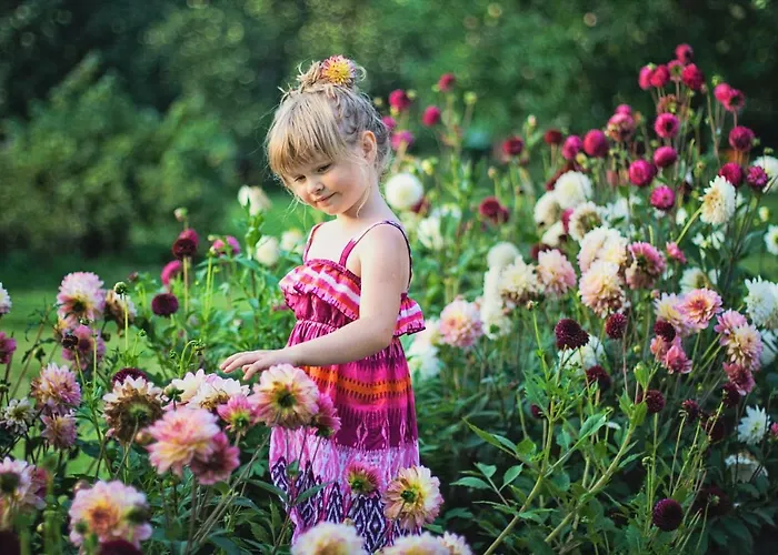 Kompleks wypoczynkowy Soomaa Water Camp *